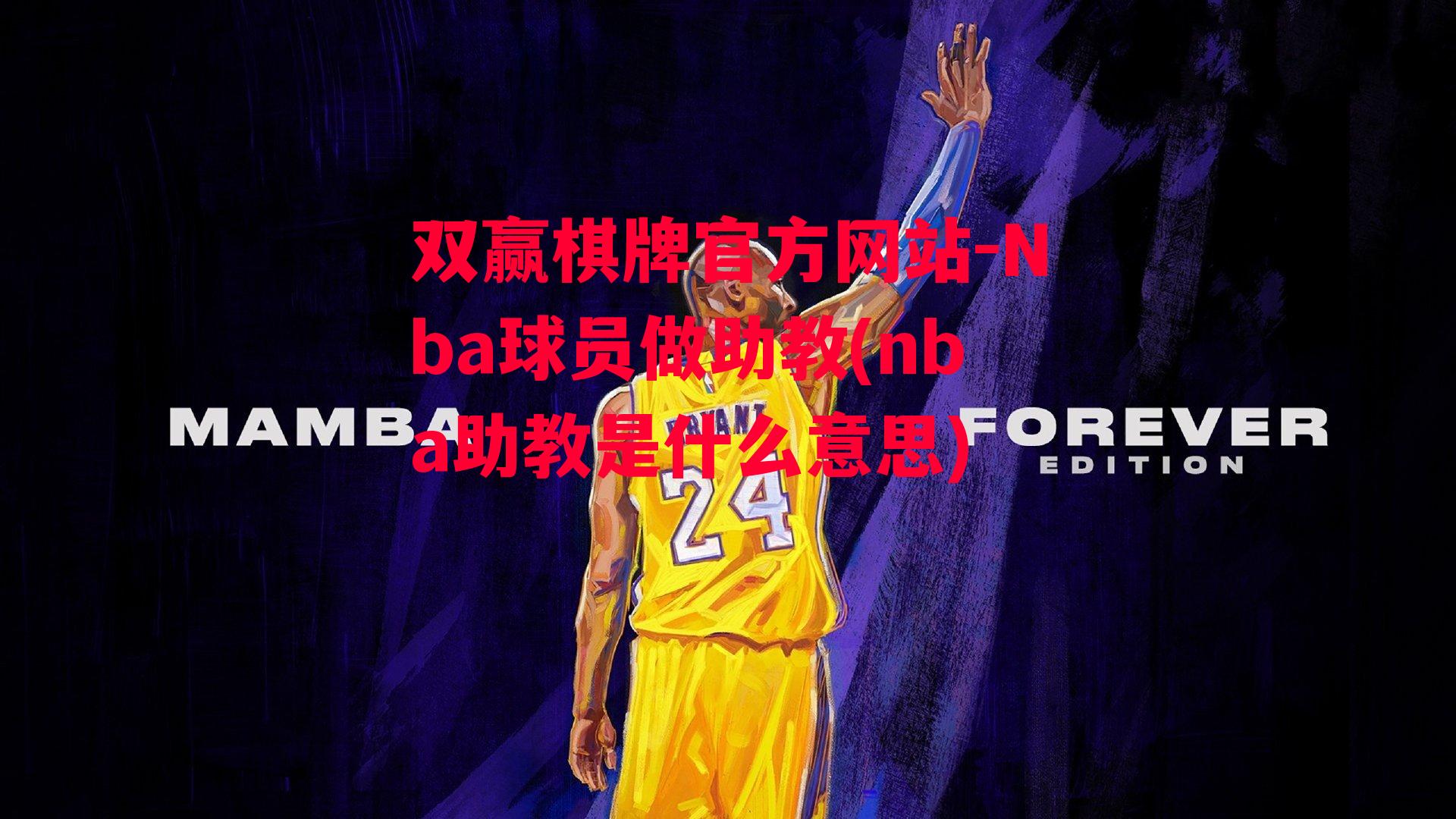 Nba球员做助教(nba助教是什么意思)